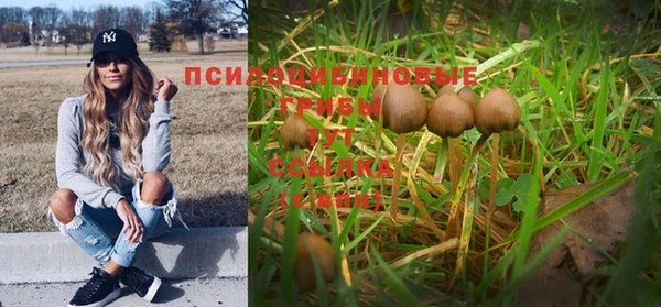 спайс Аркадак