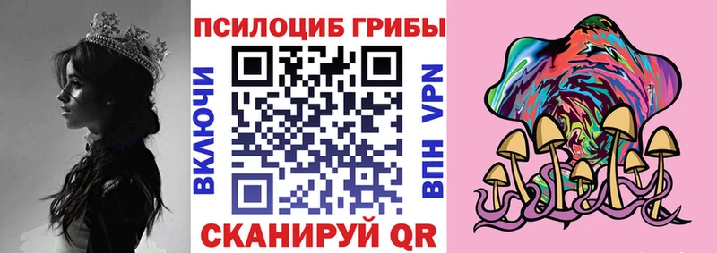 Псилоцибиновые грибы Psilocybe  Купить закладки  Уяр 